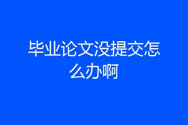 毕业论文没提交怎么办啊
