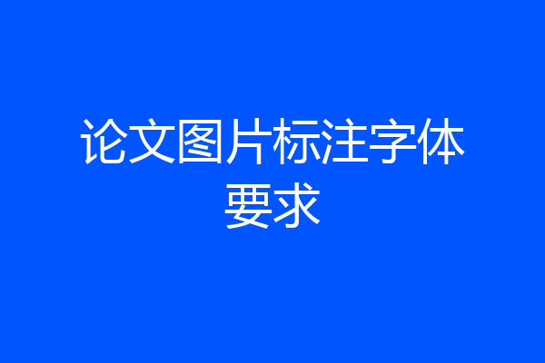 论文图片标注字体要求