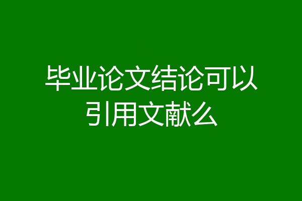 毕业论文结论可以引用文献么