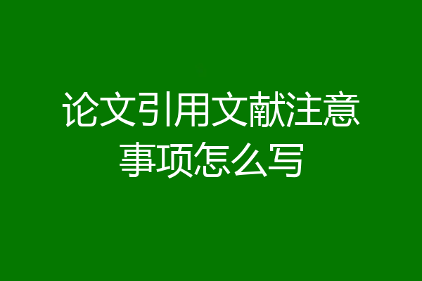 论文引用文献注意事项怎么写
