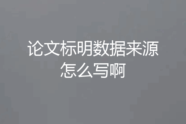 论文标明数据来源怎么写啊