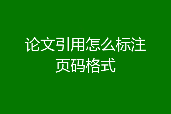 论文引用怎么标注页码格式