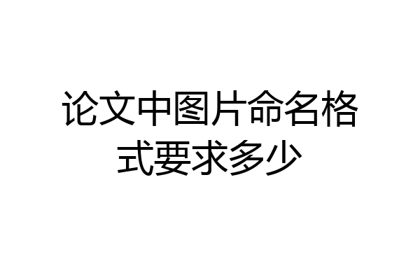 论文中图片命名格式要求多少