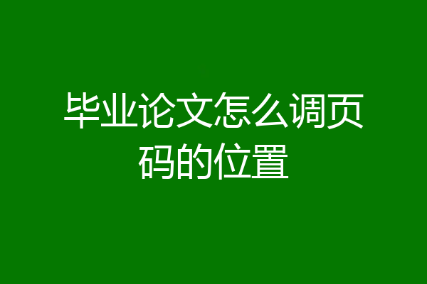 毕业论文怎么调页码的位置