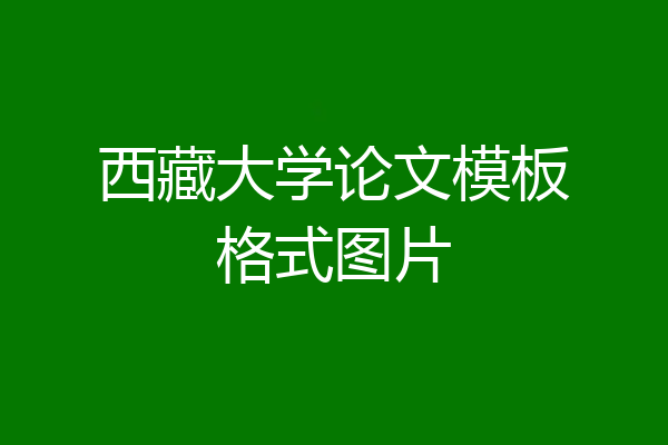 西藏大学论文模板格式图片