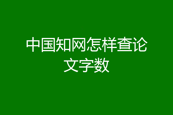 中国知网怎样查论文字数