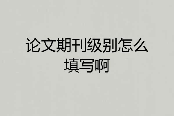 论文期刊级别怎么填写啊