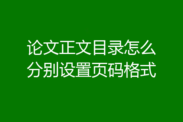 论文正文目录怎么分别设置页码格式