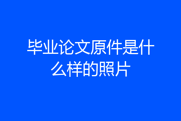 毕业论文原件是什么样的照片
