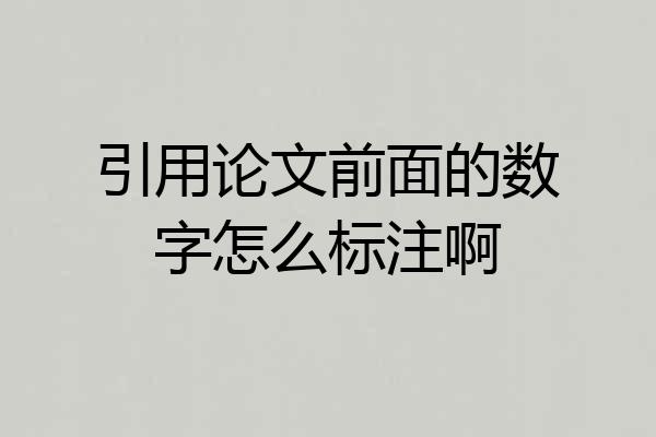 引用论文前面的数字怎么标注啊