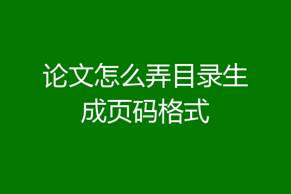 论文怎么弄目录生成页码格式