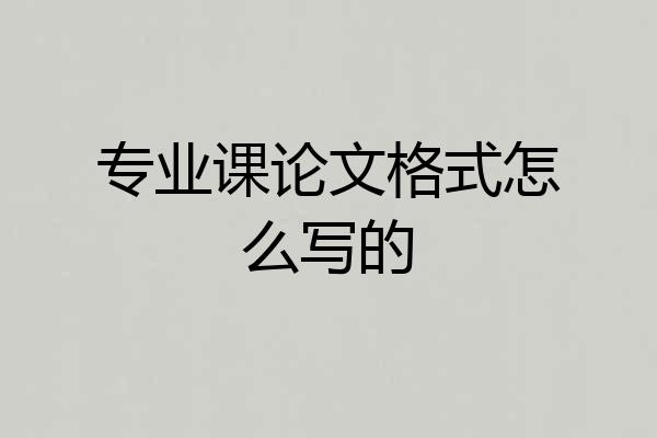 专业课论文格式怎么写的