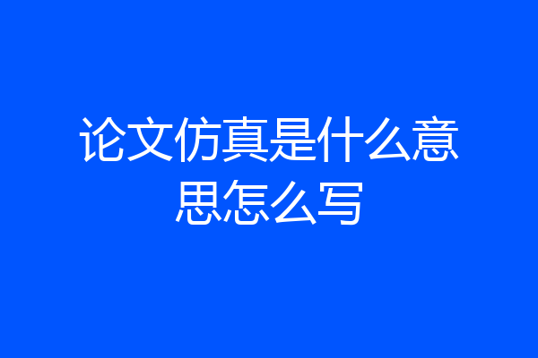 论文仿真是什么意思怎么写
