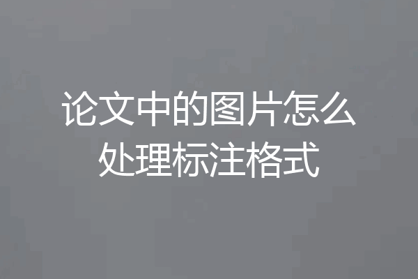 论文中的图片怎么处理标注格式