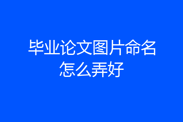 毕业论文图片命名怎么弄好