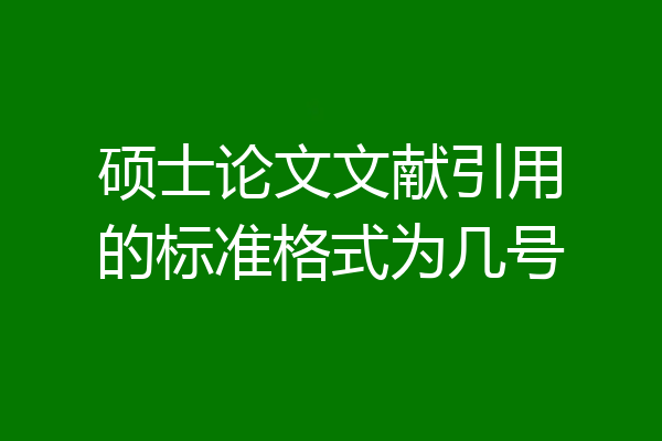 硕士论文文献引用的标准格式为几号