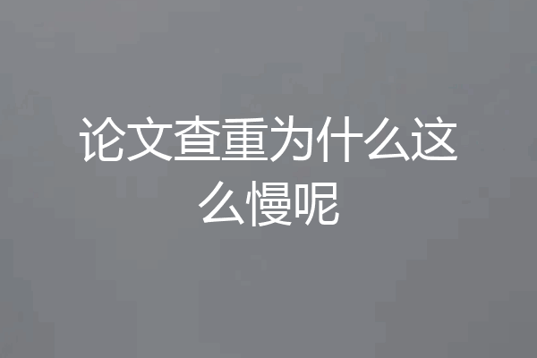 论文查重为什么这么慢呢