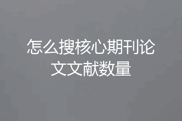 怎么搜核心期刊论文文献数量