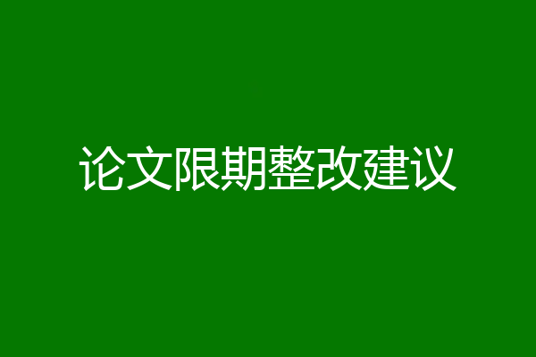 论文限期整改建议