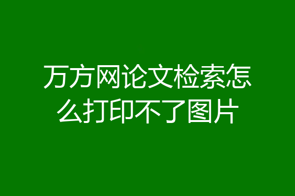 万方网论文检索怎么打印不了图片