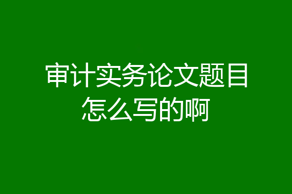 审计实务论文题目怎么写的啊