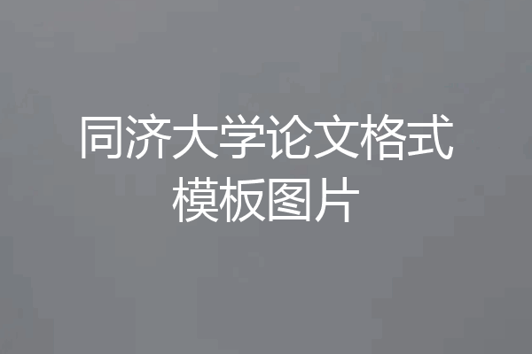 同济大学论文格式模板图片