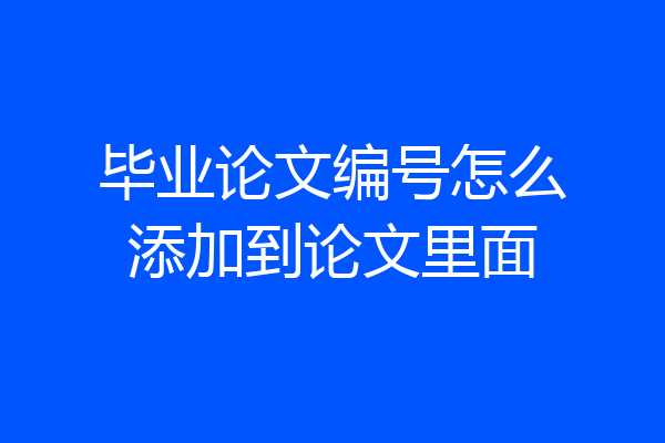 毕业论文编号怎么添加到论文里面
