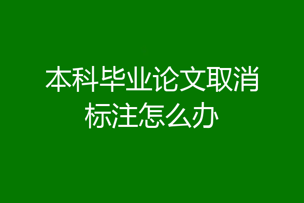 本科毕业论文取消标注怎么办