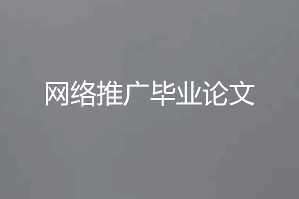 网络推广毕业论文