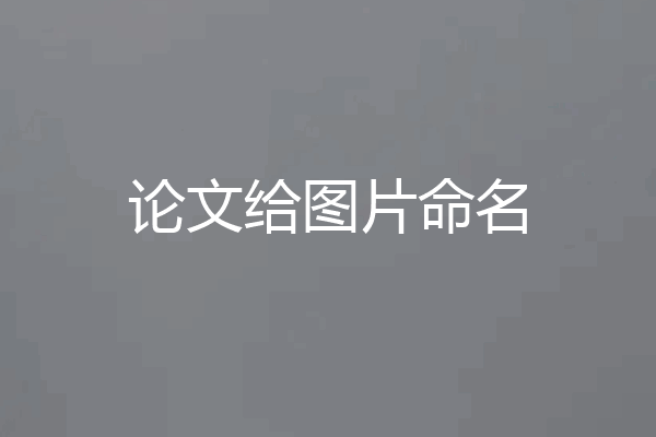 论文给图片命名