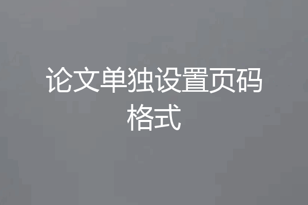 论文单独设置页码格式
