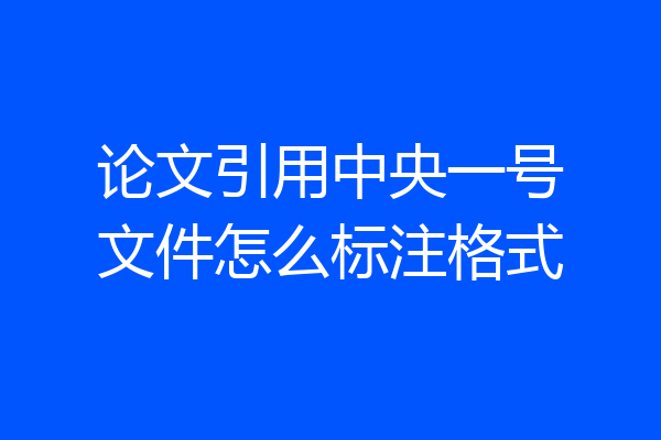 论文引用中央一号文件怎么标注格式