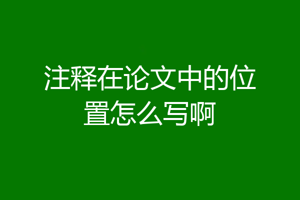 注释在论文中的位置怎么写啊
