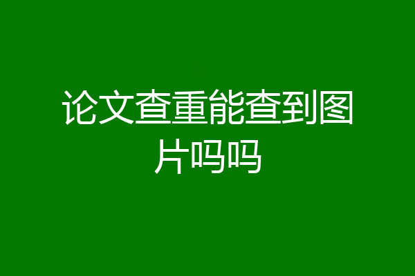 论文查重能查到图片吗吗