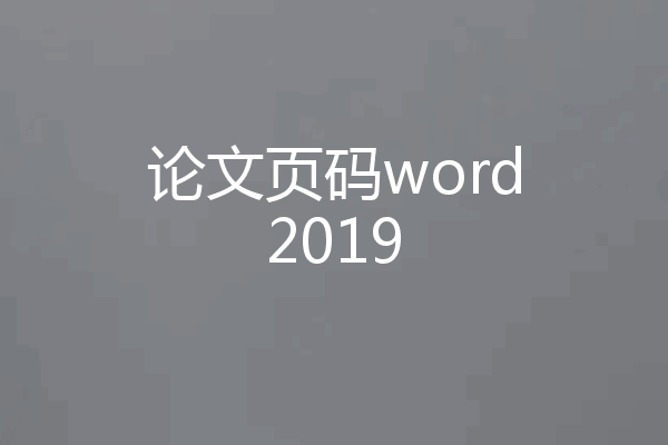 论文页码word2019