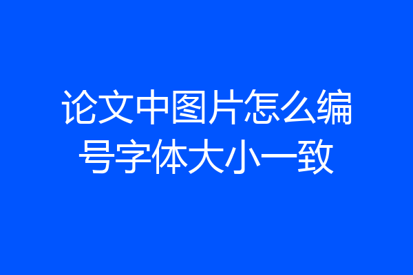 论文中图片怎么编号字体大小一致