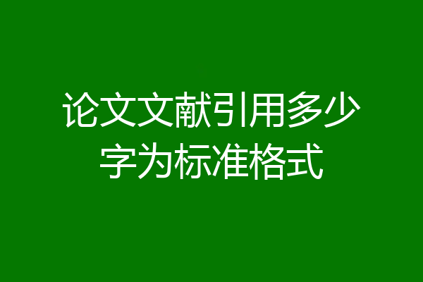 论文文献引用多少字为标准格式