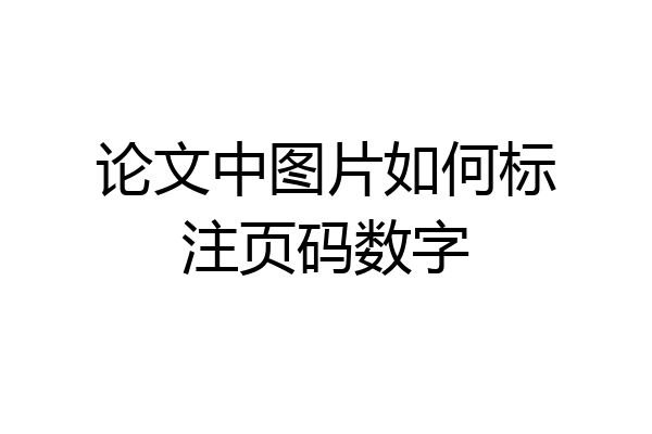 论文中图片如何标注页码数字