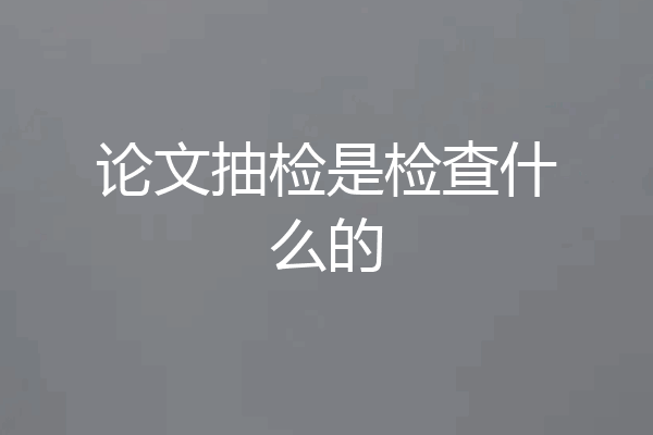 论文抽检是检查什么的
