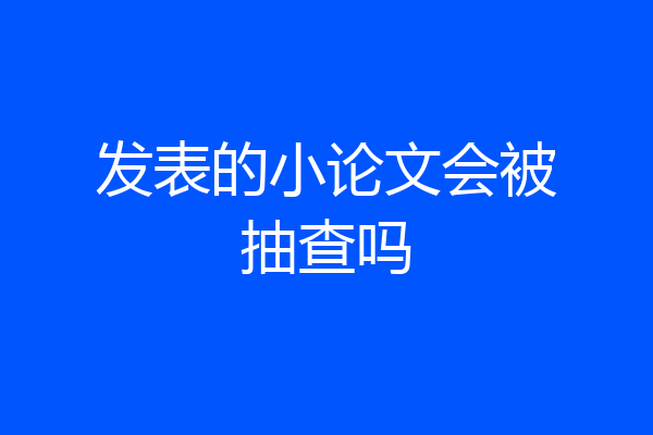 发表的小论文会被抽查吗