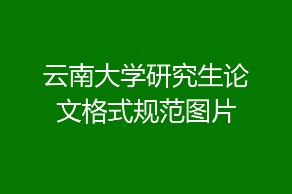 云南大学研究生论文格式规范图片
