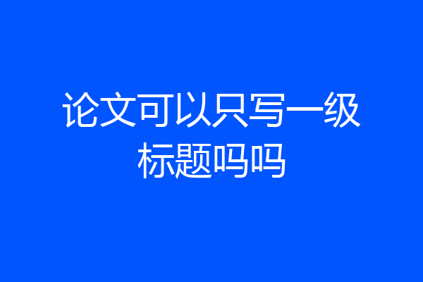 论文可以只写一级标题吗吗