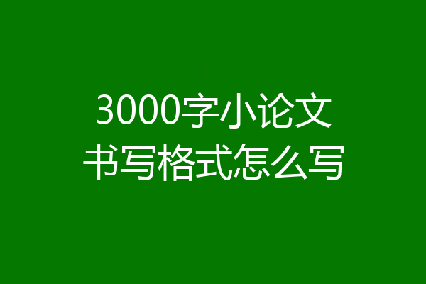 3000字小论文书写格式怎么写