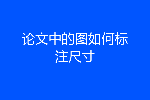 论文中的图如何标注尺寸