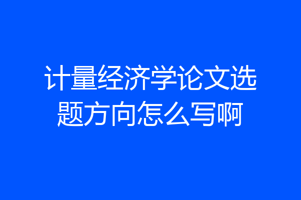 计量经济学论文选题方向怎么写啊