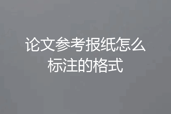 论文参考报纸怎么标注的格式