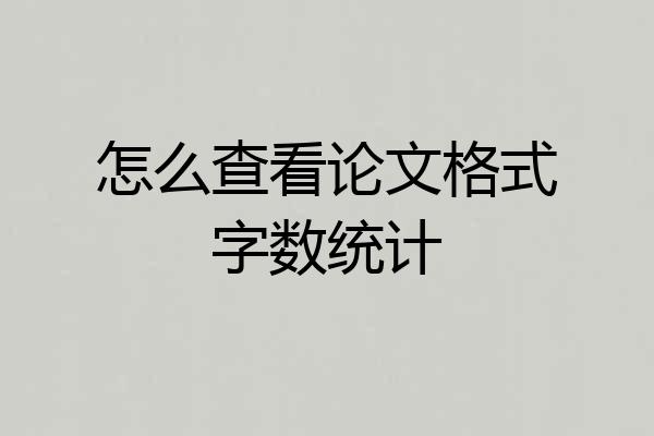 怎么查看论文格式字数统计