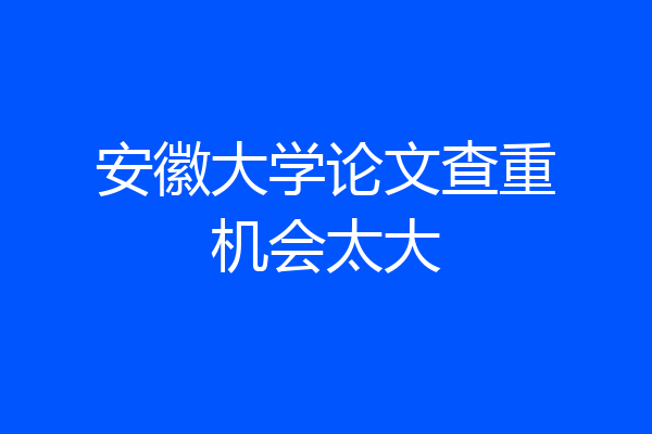 安徽大学论文查重机会太大