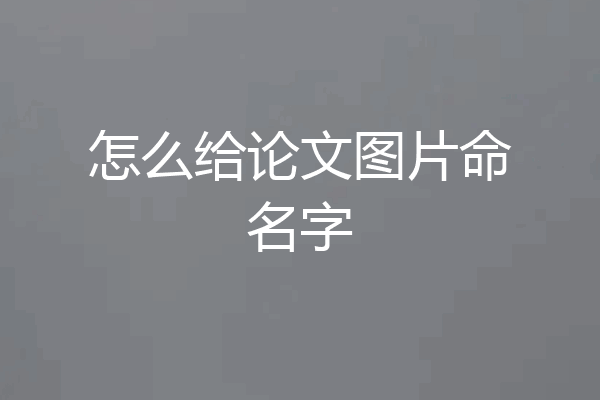 怎么给论文图片命名字