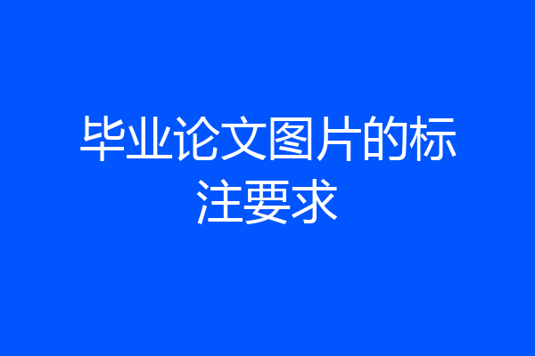 毕业论文图片的标注要求